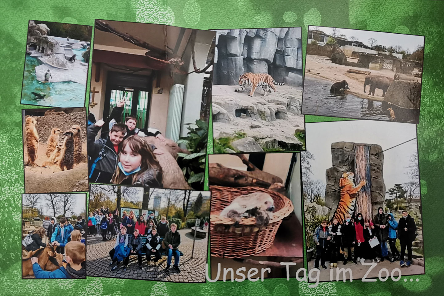 Unser Tag im Zoo