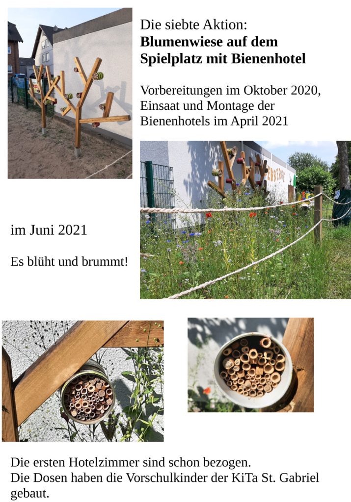 7.-Projekt---Blumenwiese-auf-dem-Spielplatz-mit-Bienenhotel