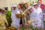 Bienenprojekt Realschule Hackenbroich